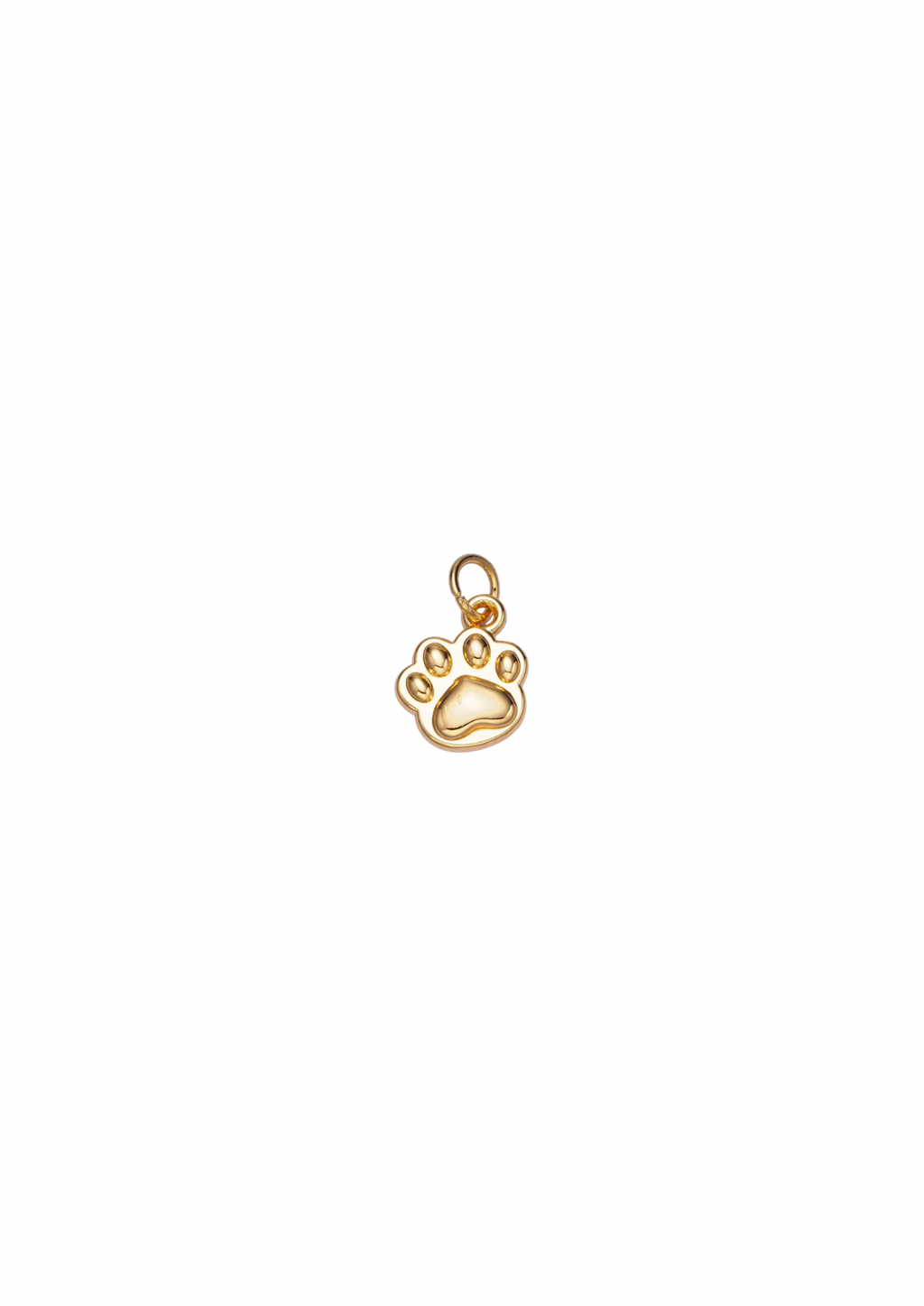 Dog Paw Charm