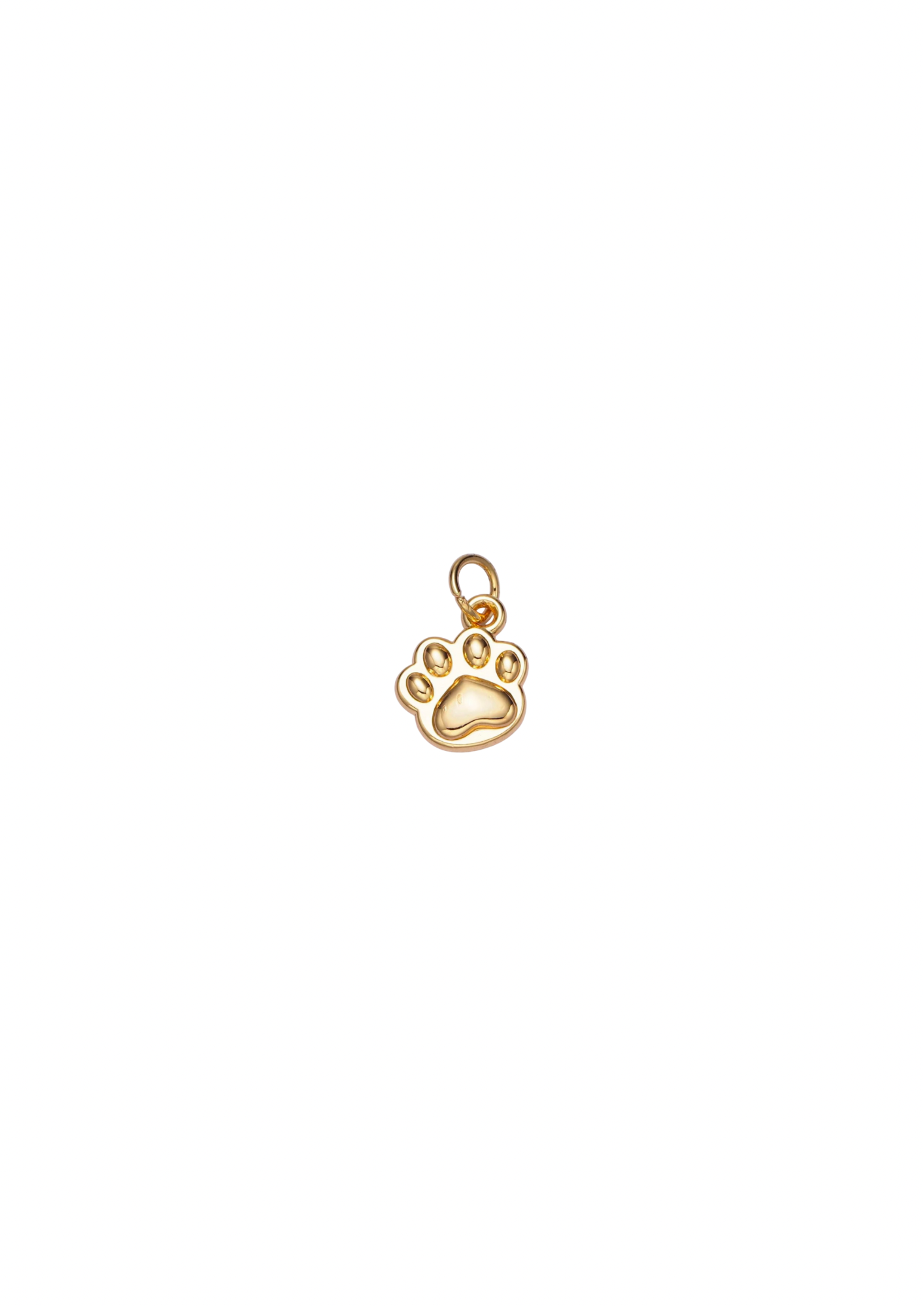 Dog Paw Charm