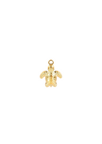 Intricate Turtle Charm